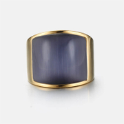 Gold Colored Stainless Steel Men's Gemstone Ring